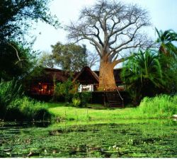 Unterk�nfte - Islands in Africa - Impalila Island Lodge